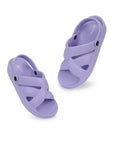 Purple clogs with sleek design on white background